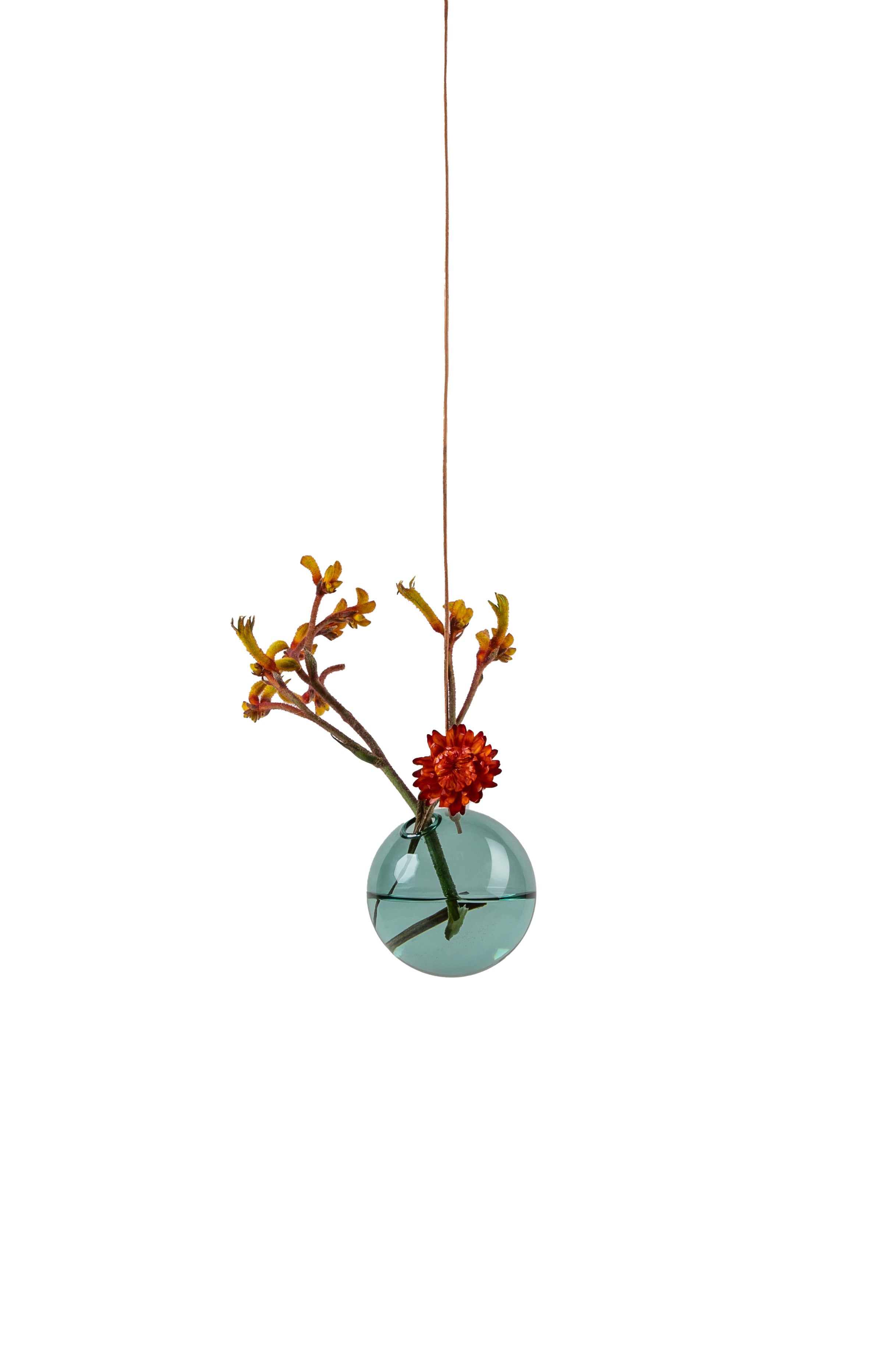 Studio om hængende blomsterboblevase lille, cyan